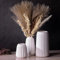 oliruim Weiße Keramik Vase Set 3, Modern Design Skandinavische Deko, Vasen Klein Tischdeko, Ästhetische Deko für Wohnzimmertisch, Esstisch, Couchtisch, Pampasgras Vase (Weiß)