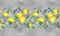 TAPPETIK Tappeto cucina antiscivolo, stampa digitale, ampia gamma di colori e disegni MADE IN ITALY varie misure (52 x 140 cm, Limoni tralcio)