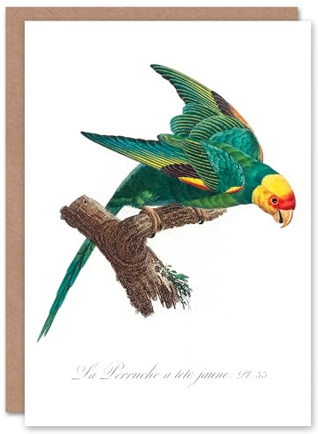 Artery8 Francois Levaillant Art Card The Yellow Crowned Parakeet