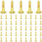 50 PCS M2.5 x 10mm Slotted Round Head Brass Self Tapping Screws