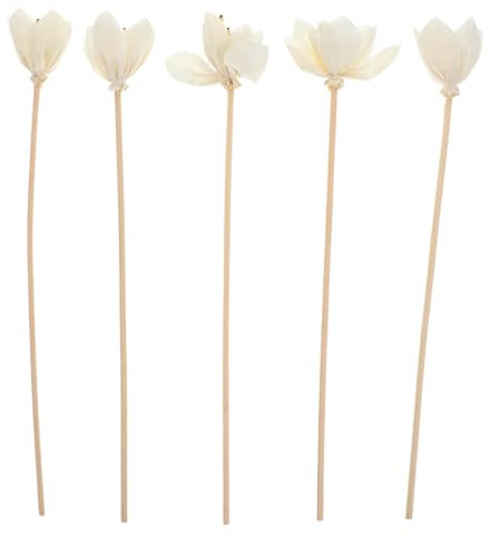 MAGICLULU 5stücke Aromatherapie Diffusorstäbchen Mit Duftstäbchen Für Ätherische Öle Aromastäbchen Zur Raumduftverbreitung Natürliche Aroma Diffusor-ersatzstäbchen