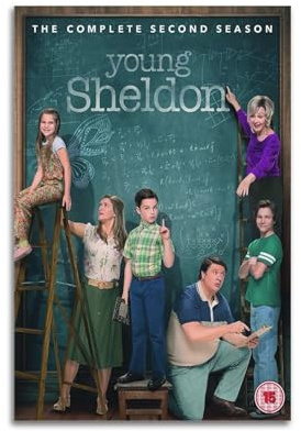ZHYAZHA Young Sheldon Poster, Vintage-Wandkunst, Leinwand, ästhetisches Poster, Musik und Filme, dekoratives Gemälde für Wohnzimmer, Schlafzimmer, 20 x 30 cm, ungerahmt, 1 Stück