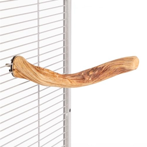Java | Lianen-Sitzstange - Natural Liana - Vogel-Sitzstange | Länge von 15-20 cm