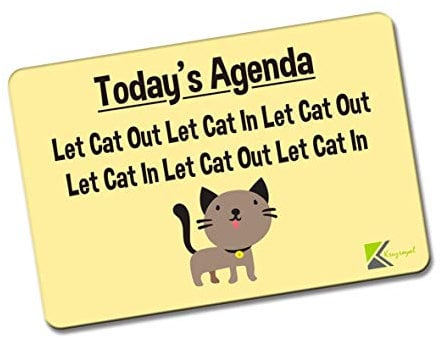 Kruzroyal FM139 TODAY'S AGENDA - Let Cat In/Out Novelty Funny Gift Idea Glossy Rectangle Metal Fridge Magnet