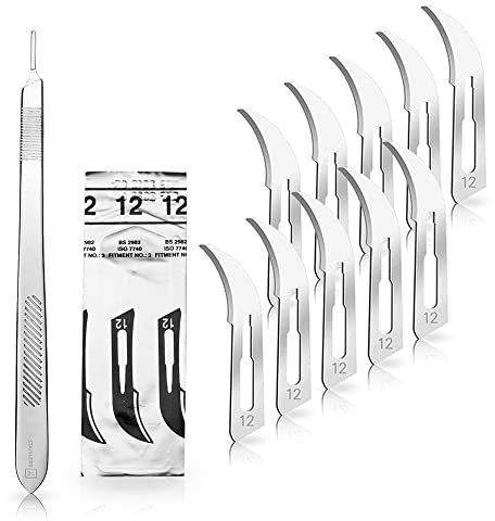 Lot de 10 lames de scalpel Figurine 12 en acier carbone - Lames de rechange emballées individuellement stériles + 1 support de scalpel - Manche de 21 cm de long - Acier inoxydable