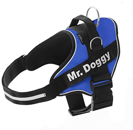 MR. DOGGY Personalisiertes Hundegeschirr - Reflektierendes und sicheres Hundegeschirr - Enthält 2 Namensschilder - Klein, Mittel und Groß - Qualität und Beständigkeit (Blau, XL 30-45KG)