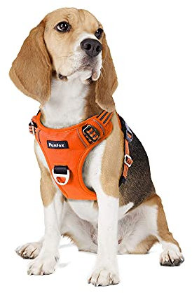 Funfox Hundegeschirr Mittelgroße Hunde [M] - Verstellbares Anti-Zug Brustgeschirr mit Griff & Reflektorstreifen, Atmungsaktives No Pull Hundegeschirr für Grosse/Kleine Hunde Outdoor Orange
