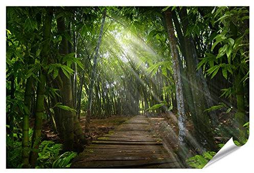 islandburner XXL Bild Poster Südostasiatischer Dschungel Thailand Sonnenstrahlen Kommen Aus Ästen Premium Bilder Fotodruck