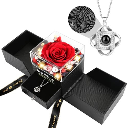 FAYODO Ewige Rose mit Ich Liebe Dich Halskette Damen,Echte Konservierte Blumen Rosenbox Geschenke für Frauen Mama Frau Valentinstag Muttertag Geburtstags Jubiläum (Rot)