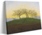 WurBu Caspar David Friedrich Malerwerke, Hügel und gepflügte Felder in der Nähe von Dresden, coole Kunstwerke, Gemälde, Wandkunst, Leinwanddrucke, Hängebild, Heimdekoration, Geschenkidee, 30 x 45 cm