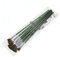 HAPINARY 6St zum Malen acrylbilder acrylharz paint brush Acrylfarben aquarellfarben stifte Malen für Pinsel Farbstifte kleine Farbe zum Basteln Kunstmalereien Malstift Bambus Green