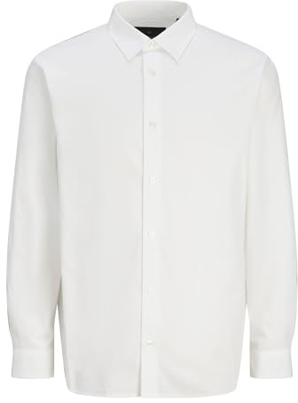 Jprblabushwick Stanley Shirt L/S Sn