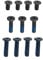 Gintai 11pcs Screws for ASUS ROG Flow X13 GV301 GV301Q GV301R GV302 GV302X chassis Laptop Base Cover Fixing for Computer Background Screws Replacement for PC