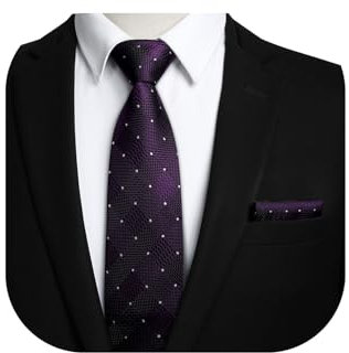 HISDERN Krawatten Violett Herren Formelle Klassische Krawatte mit Einstecktuch Hochzeit Karierte Herrenkrawatte und Taschentuch Set für Männer