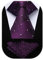 HISDERN Krawatten Violett Herren Formelle Klassische Krawatte mit Einstecktuch Hochzeit Karierte Herrenkrawatte und Taschentuch Set für Männer