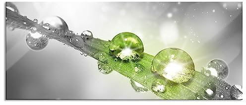 Pixxprint Glasbild Panorama, Wandbild aus Echtglas, Wassertropfen auf Grashalm, 120x50 cm, inkl. Aufhängung und Abstandshalter