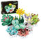 VannMold Sukkulents Blumen Klemmbausteine für Erwachsene, 977 Teile Kreative Blumen Spielzeug Pflanzen Bausatz Geschenke für Mama, Pflanzen Büro Home Decor Bonsai, Botanische Sammlung und Display Set