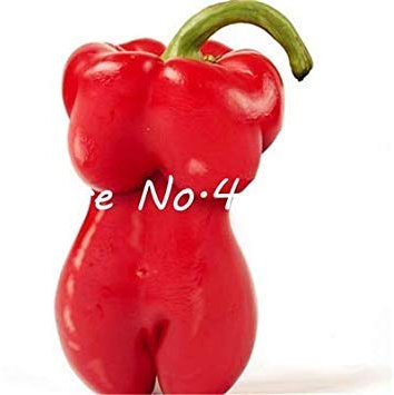 . 200Pcs Gemüse, Obst, Pfeffer Bonsai, Giant Chili Seedsplants + Paprika + Carolina Reaper“+ Hot Chilli Bonsai Pflanze Topf: 3