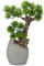 Briful Kunstbonsai Naturgetreue Kunstpflanze Wie Echt Künstliche Bonsaibaum mit Zementtopf für Bad Büro Fensterbank Dekoration, Höhe 35cm