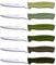 TB Groupe - Set de 6 Couteaux à Steak Record - Lames en Acier INOX - Manches en ABS, Couleurs Assorties - Fabriqués en France - Vert
