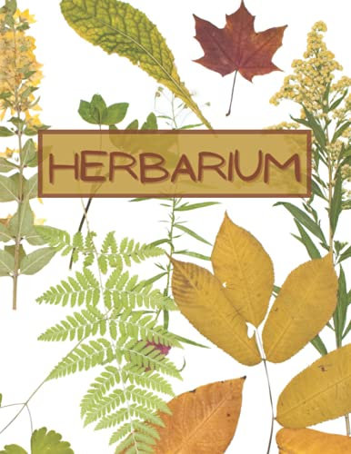 Herbarium: Logbuch zum sammeln von getrockneten blättern und blüten