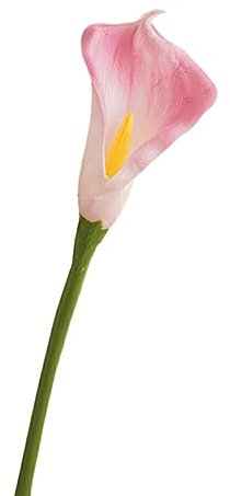 QOKLIYUI 20 Stück/Los künstliche Calla Lilien, realistisches Aussehen, ungiftig und geruchlos, Blumenstrauß, ABS, Hochzeitsblume, Braut, Rosa