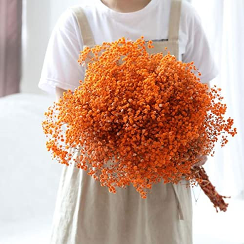 Fiore naturale fresco essiccato e conservato Gypsophila Decor Regalo di San Valentino Decorazione per la casa di nozze Respiro eterno Bouquet da sposa-Arancione-70-80g