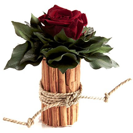 ROSEMARIE SCHULZ Heidelberg Blumengesteck mit Zimtbecher und 1 Rose konserviert haltbar 3 Jahre Rosengesteck/Blumengesteck/Landhaus/Weihnachten/Tisch (Dunkelrot)