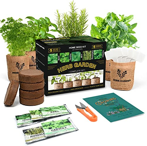 Meekear Kit de iniciación de jardín de hierbas para interiores, 5 semillas de hierbas sin OMG, albahaca, perejil, romero, tomillo y menta con juego completo de plantación para cocina, jardín de