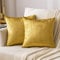 MIULEE Golden Luxuriös Samt Kissenbezug Dekokissen Kissenhülle Zierkissenbezug Dekorative Zierkissenhülle mit Verstecktem Reißverschluss 40x40 cm 2er Set