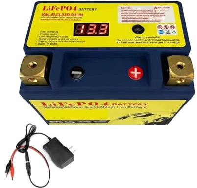 Batterie De Moto 12V LiFePO4 Avec BMS Intégré, 8Ah/12Ah, CCA 180A/420A/520A/620A, Phosphate De Fer Au Lithium, Compatible Avec ATV Et UTV(20L-BS N-P)