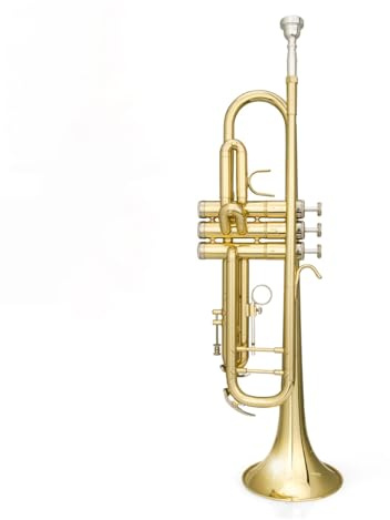 SCTOU Trompeten Trompete Anfänger Spieler Profi B-Trompete Instrument Trompete Instrument