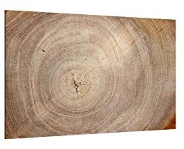 ALLboards Glas Magnettafel Baumstamm Natur Baumkern 60x40cm Glasbild Memoboard aus Glas Glastafel mit Baumstamm-Motiv Magnetwand zum Beschriften Magnetische Tafel Wanddekoration Wandbild Neodym