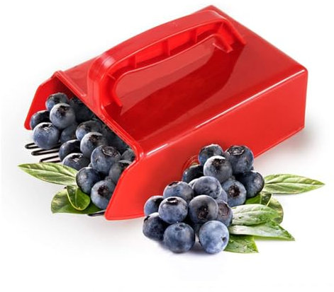 Pettine raccogli bacche – Rastrello per mirtilli plasstico | Raccoglitore di frutta per foraggiamento | Raccoglitore di bacche portatile | Raccoglitore di frutta per raccogliere lamponi, more e ribes