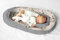 Multifunktionale Kuschelnest Babynest Kokon für Babys und Säuglinge, Nestchen, Reisebett, 100% Baumwolle, antiallergisch, farblich sortiert