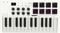 HOEREV MIDI Keyboard Controller With 8 Backlit Drum Pads, Wireless Semi Weighted Professional dynamic Keybed 8 Knobs 25 Keys USB With Lithium Battery,White