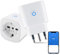 Presa Wifi Italiana 16A, Monitoraggio energetico Intelligente Smart Plug, Protezione Sovraccarico, Timer e Regolazione del Programma, Compatibile con Alexa & Google Home, 2 Pezzi