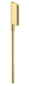 hansgrohe AXOR One Handbrause 2jet, 45720950, Farbe: Brushed Brass