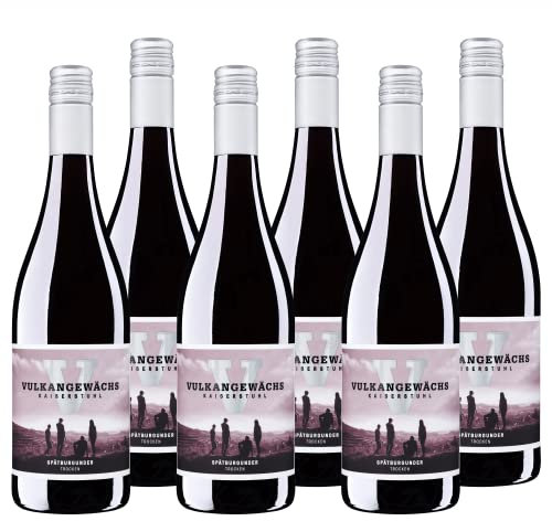 Vulkangewächs Kaiserstuhl Spätburgunder QbA trocken - SILBER 2025 AWC Vienna - Rotwein trocken, ausdrucksstark und kräftig im Geschmack - Badischer Wein (6 x 0,75 l)