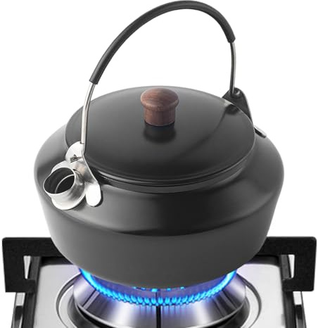Water Boiler Stainless Steel Tea Kettle for Induction Stove | 1L Portable Camping Kettle with Ergonomic Handle | Small Coffee Pot for Gas, Electric & Ceramic Valley, Small Induction Tea Kettle
