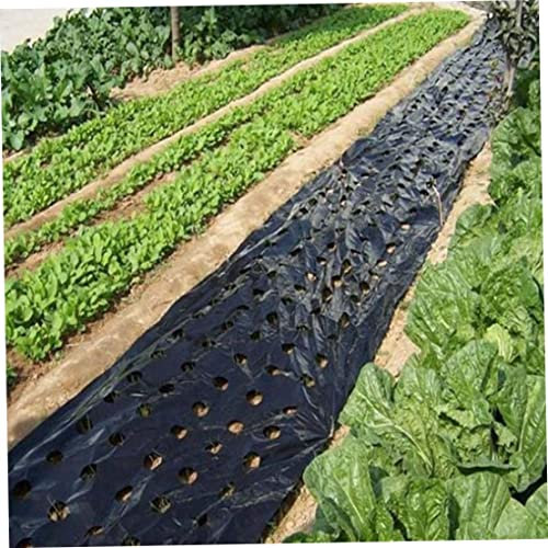 AEIOFU 5 Trous Film de paillis en Plastique Noir pour Film végétal agricole Plant Film Plastique Film perforé PE pour paillis végétal 3x33 pi de paillis