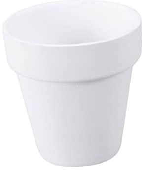 SEWOART Lot de 10 Petits Pots en Terre Cuite Blancs Poreux pour Décoration Intérieure Et Usage Pédagogique