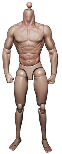 Ligeinsrk 1/12 Skala Abbildung 10 Zoll männlicher Aktion Figur Körper Flexible männliche Figur Körperpuppe Kunststoff Muskelminiaturfigur ohne Kopfskulptur 1/12 Skala -Figur