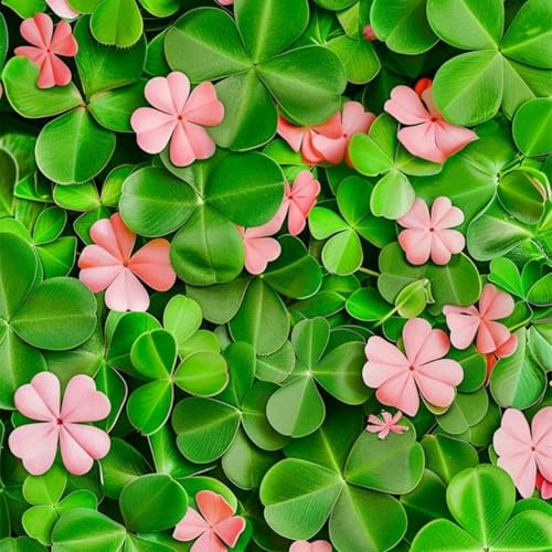 Bulbos de Oxalis- Sin Necesidad de Mantenimiento,Ecologización-4 BULBOS