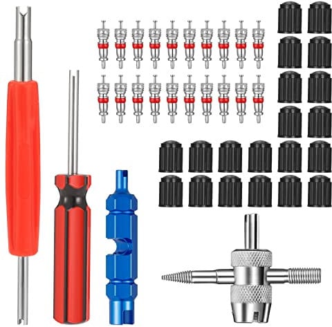 FRIUSATE 44 Pcs Tyre Valve Core Removal Tool Tyre Valve Repair for Bike Car 20 Pcs Valve Cores 20 Pcs Valve Caps 4-Way Valve Tool Dual & Single Head Valve Core Remover