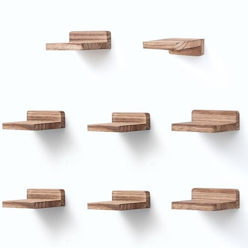 PHOENANCEE kleine schwebende Regale für Wand, 8er-Set, quadratisches Holzregal, hängende Mini-Regaldekoration für Schlafzimmer, Wohnzimmer, 10.2cmX10.2X4cm(Karbonisiertes)