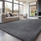 Treeboy Hochflor Grau Teppich Wohnzimmer 200x300 Waschbar Anti-Rutsch Extra Große Teppich Schlafzimmer Flauschige Moderne Teppiche Matte Teppichen für Schlafzimmer Kinderzimmer