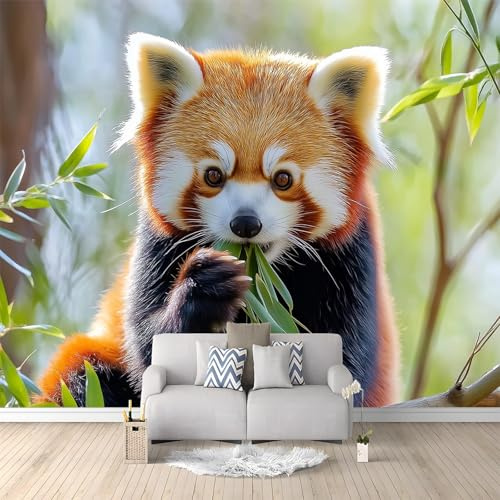 Fototapete Tierfotografie Roter Panda Tapeten Grün Vliestapete Wandtapete Moderne Design Wand Wandbild, Schlafzimmer Wohnzimmer Flur Wanddeko 200 x 140 cm
