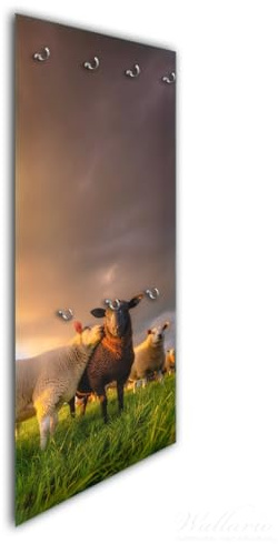 Wallario Wandgarderobe aus Glas in Größe 50 x 125 cm in Premium-Qualität, Motiv: Schafherde im Abendlicht | 7 Kleiderhaken zum Aufhängen von Jacken