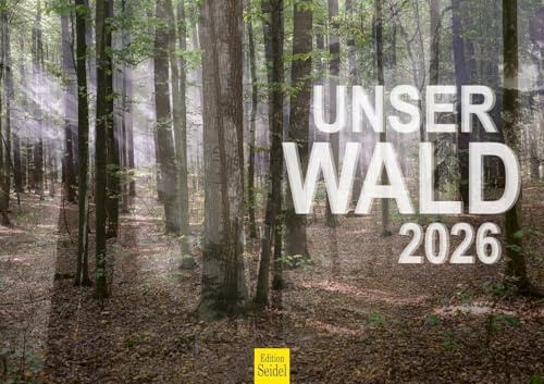 Edition Seidel Premium Kalender Unser Wald 2026 Format DIN A3 Wandkalender Natur Bäume Wälder Wasserfall Lichtungen Waldsee Berge Täler